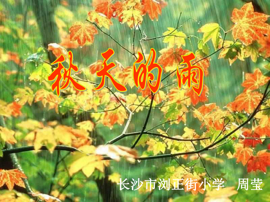 秋天的雨课件 (2).ppt_第1页