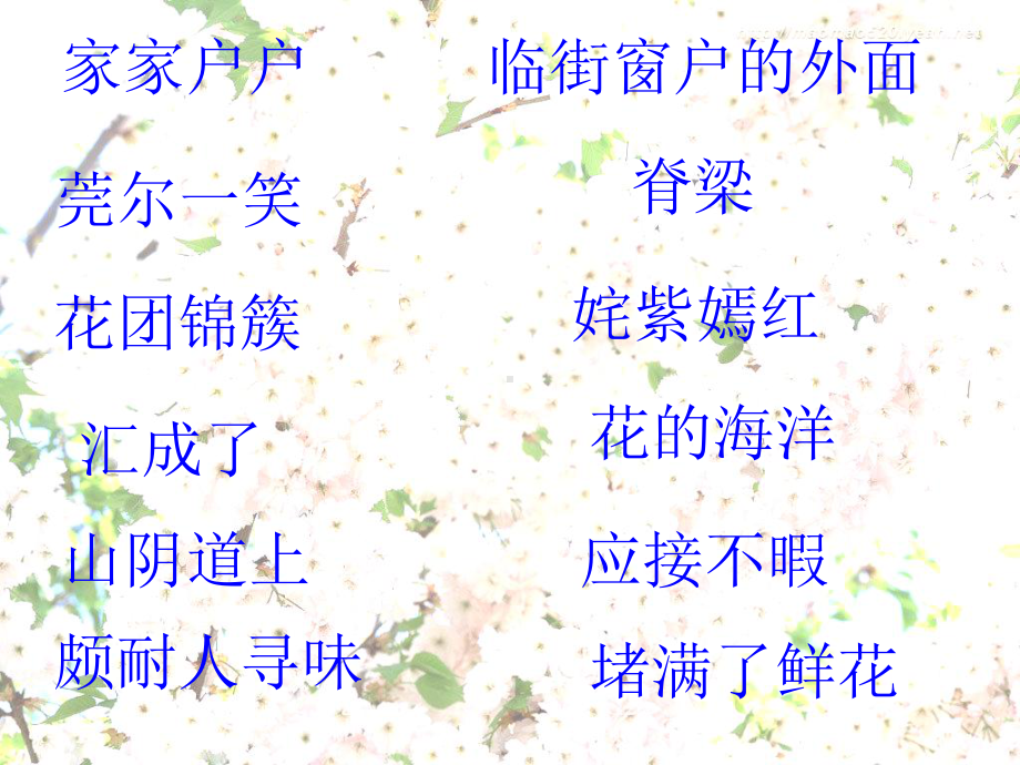 自己的花给别人的看的.ppt_第2页