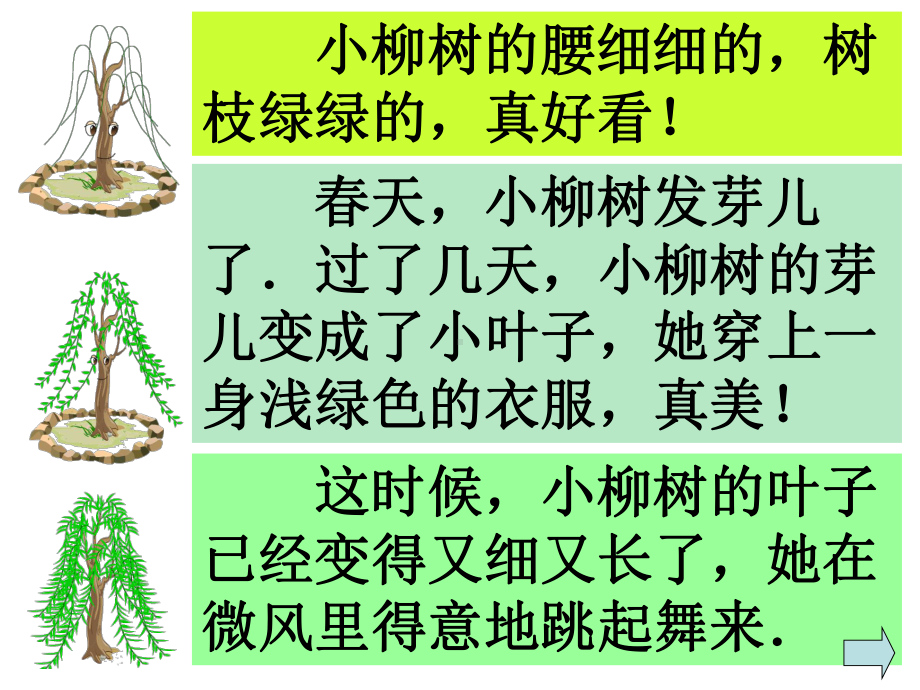 小柳树和小枣树课件 (3).ppt_第3页