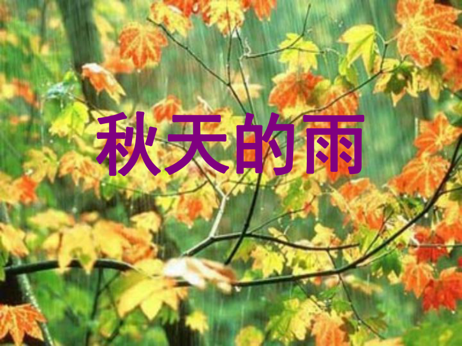 人教版小学语文三年级上册《秋天的雨》PPT课件 (2).ppt_第1页