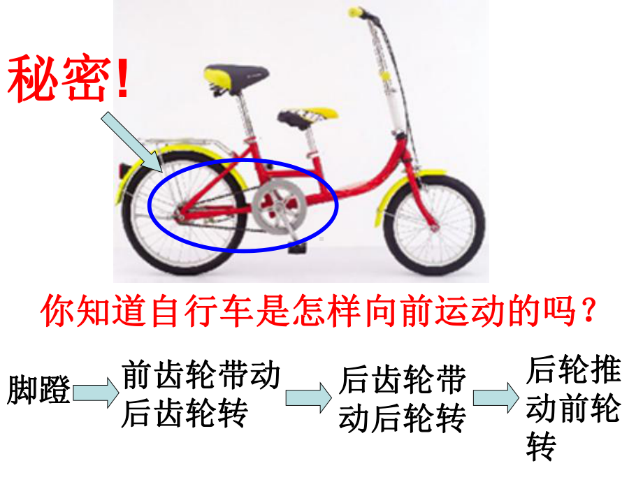 自行车里的数.ppt_第2页