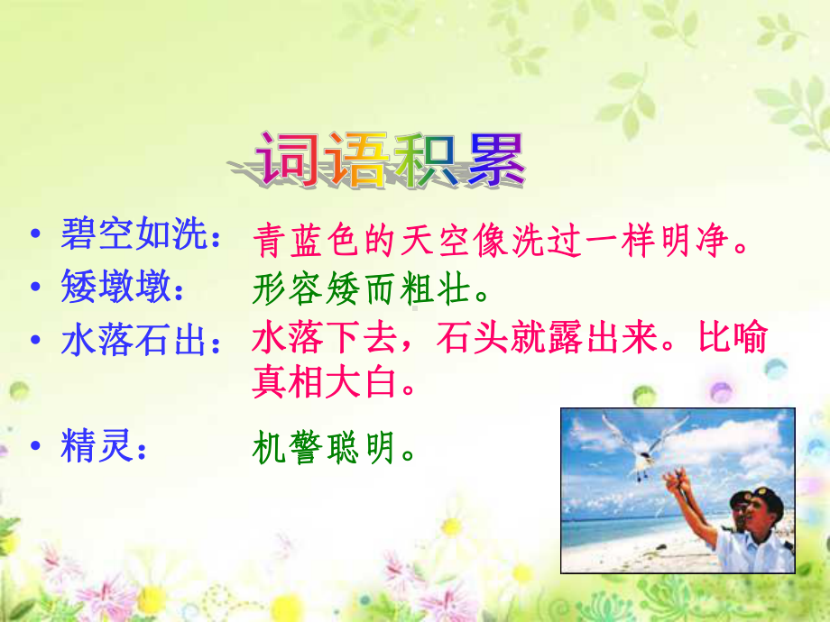 六年级上册《彩色的翅膀》PPT课件.ppt_第2页