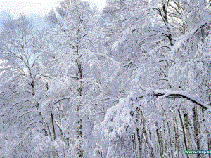 鲁迅的散文诗《雪》课件.ppt