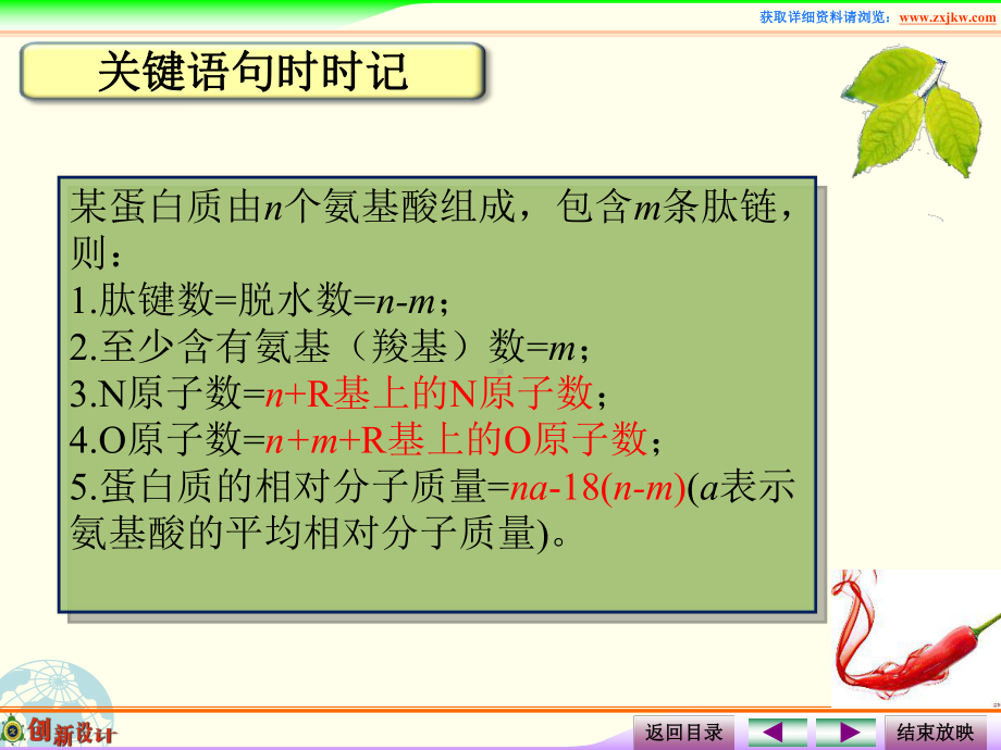 课件5蛋白质的相关计算.ppt_第1页