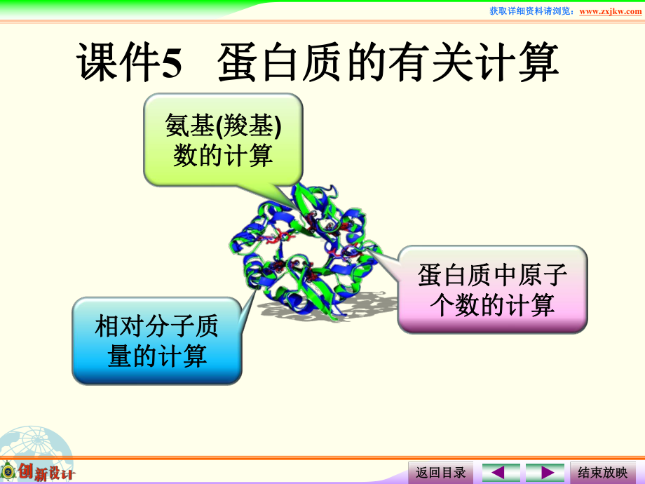 课件5蛋白质的相关计算.ppt_第2页