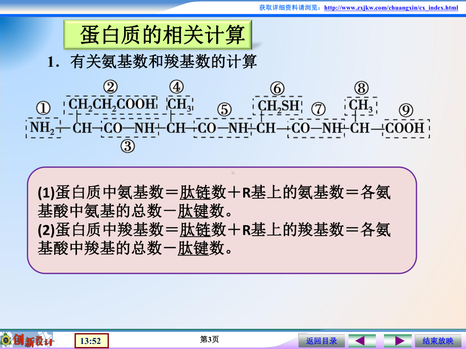 课件5蛋白质的相关计算.ppt_第3页