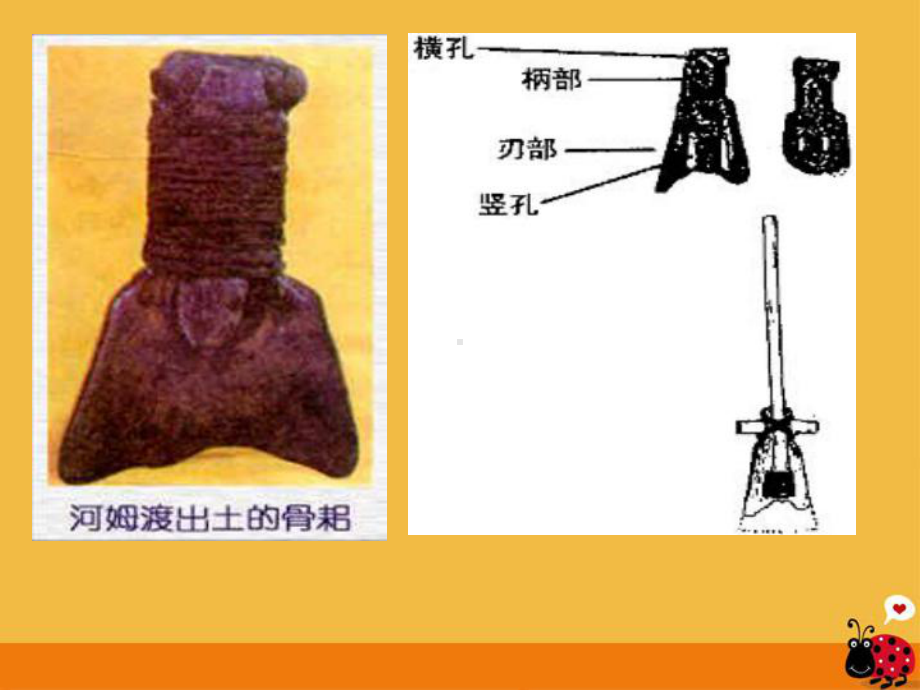 七年级历史上册第一单元第二课原始的农耕生活课件人教新课标版.ppt_第3页