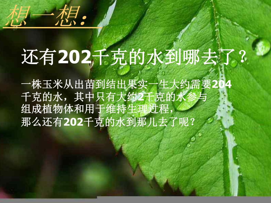 绿色植物的蒸腾作用.ppt_第1页