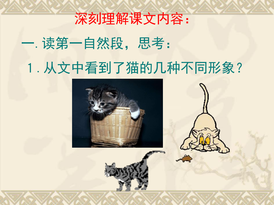 猫的课件演示PPT.ppt_第3页