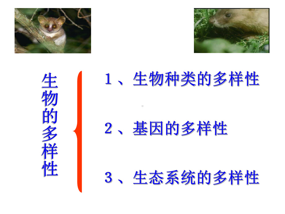 认识生物的多样性.ppt_第2页