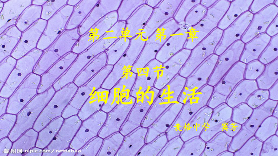 人教版七年级上生物第二单元第一章第四节细胞的生活课件.ppt_第3页