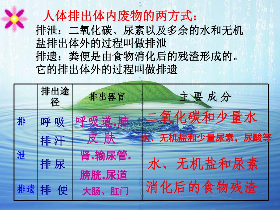 中考复习-人体代谢废物的排出.ppt_第2页