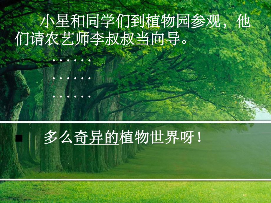 奇异的植物世界.ppt_第3页