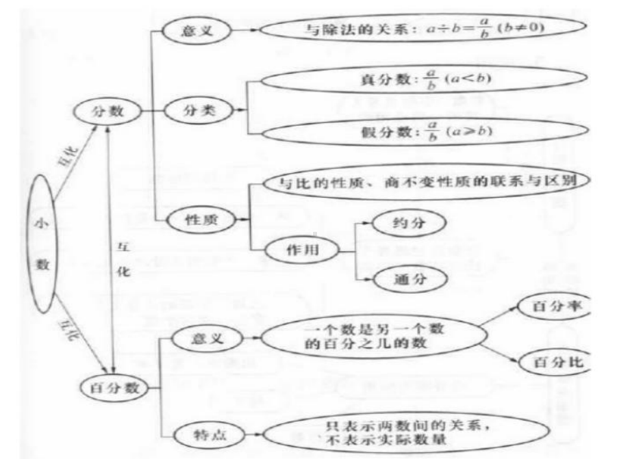 小数百分数分数之间的关系结构图.ppt_第1页