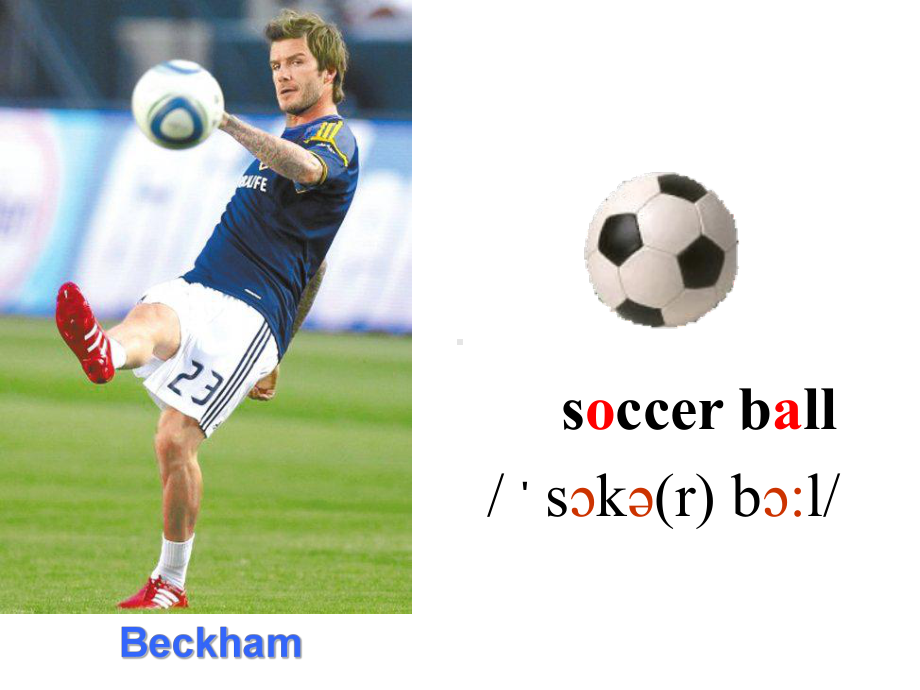 七上Unit5Doyouhaveasoccerball.ppt_第3页