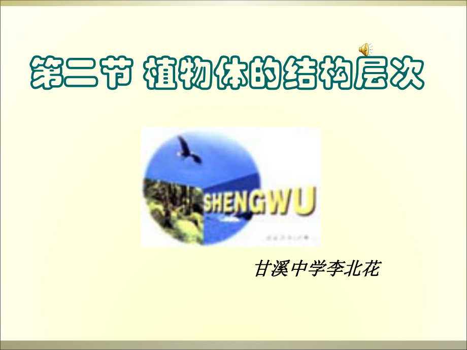 植物层次课件.ppt_第2页