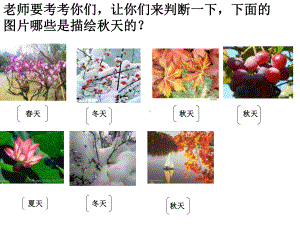 秋天的图画 (7).ppt