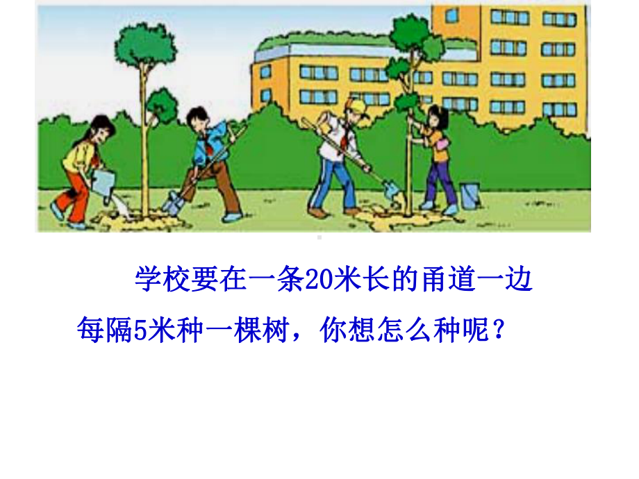 课题植树问题 (2).ppt_第2页