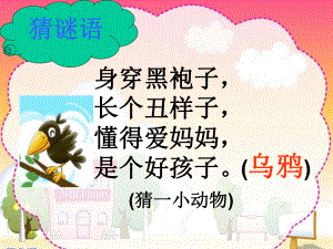 乌鸦喝水PPT课件 (4).ppt