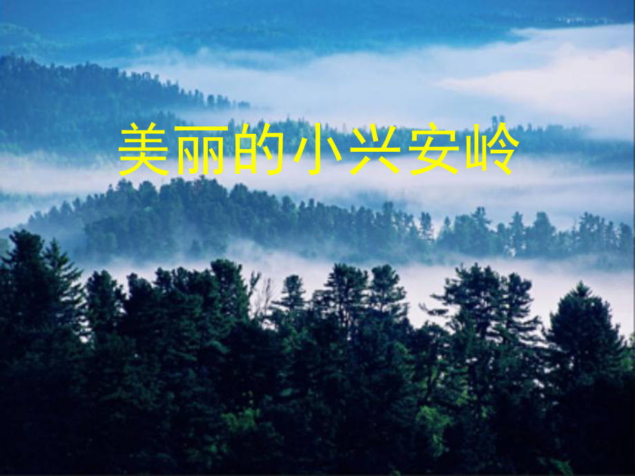 美丽的小兴安岭(黎海雪).ppt_第1页