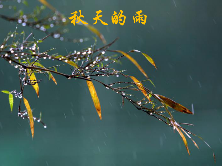 秋天的雨 (6).ppt_第1页