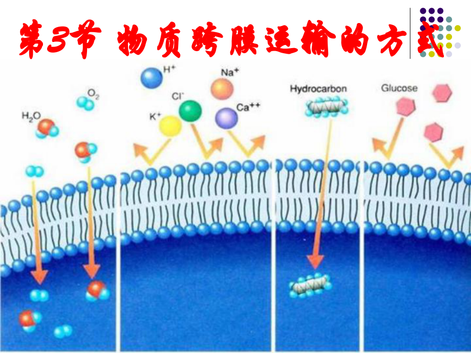 跨膜运输的方式.ppt_第1页