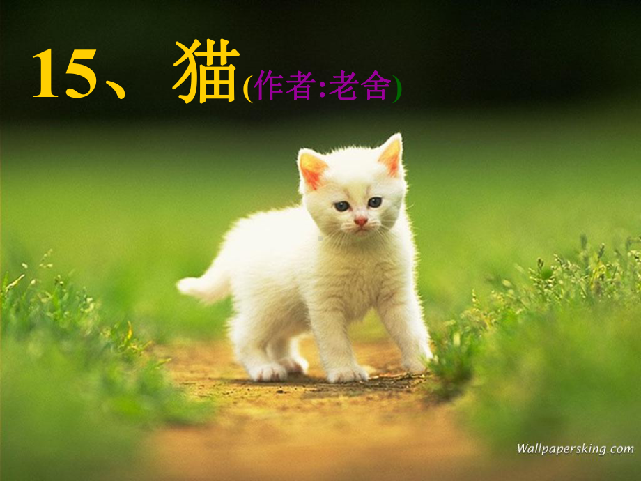 老舍《猫》林齐进.ppt_第1页