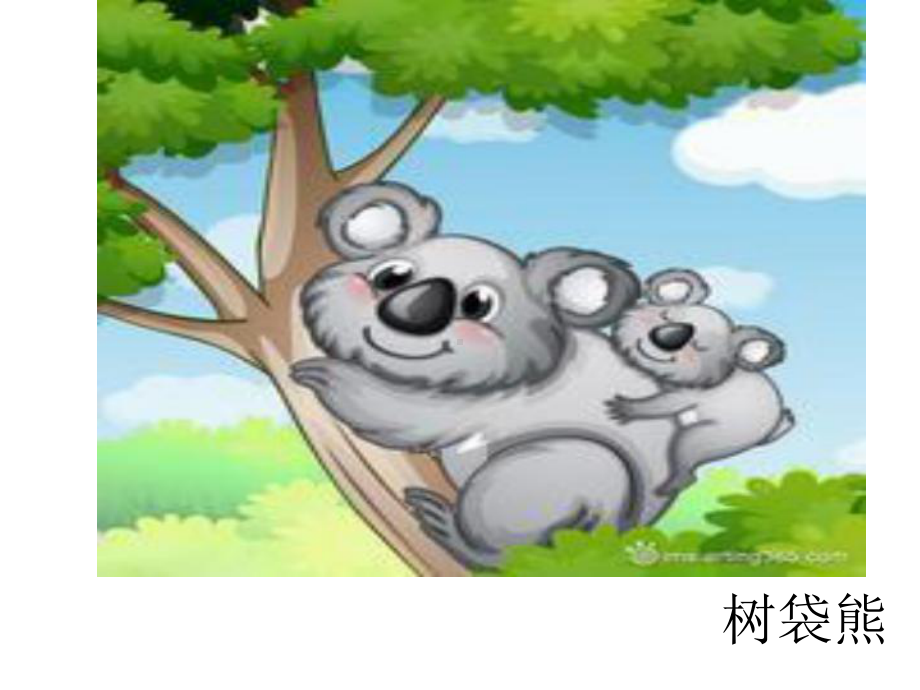 没有尾巴的动物.ppt_第3页