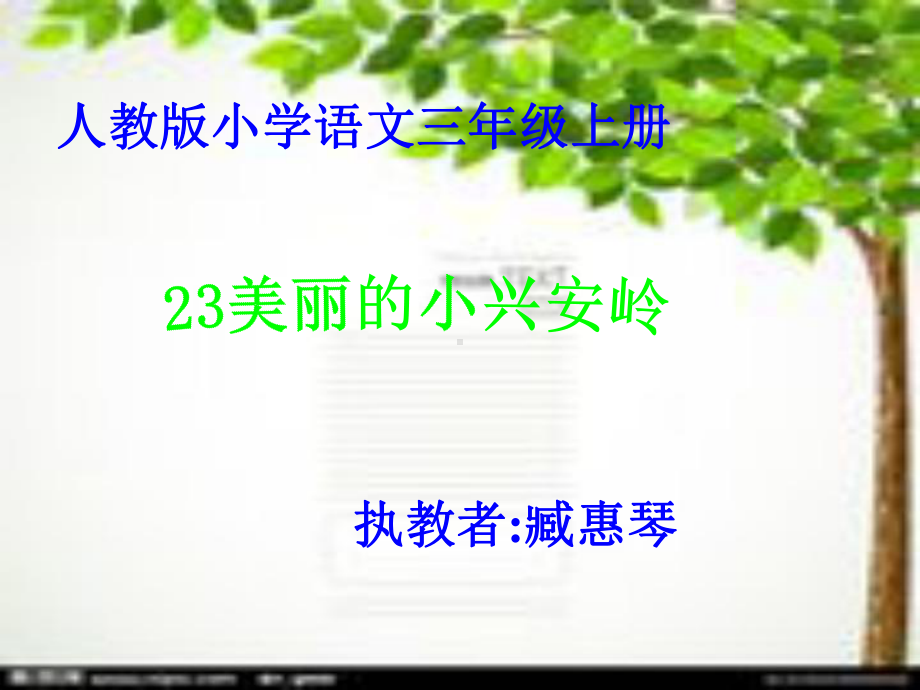 小学三年级语文美丽的小兴安岭.ppt_第1页