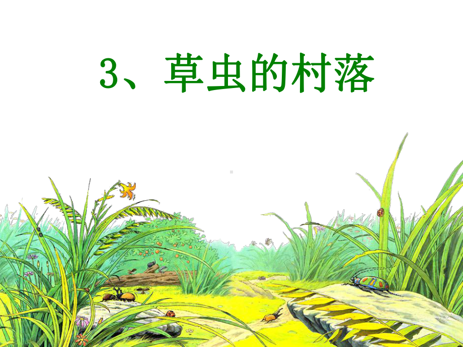 人教版六年级3草虫的村落.ppt_第1页