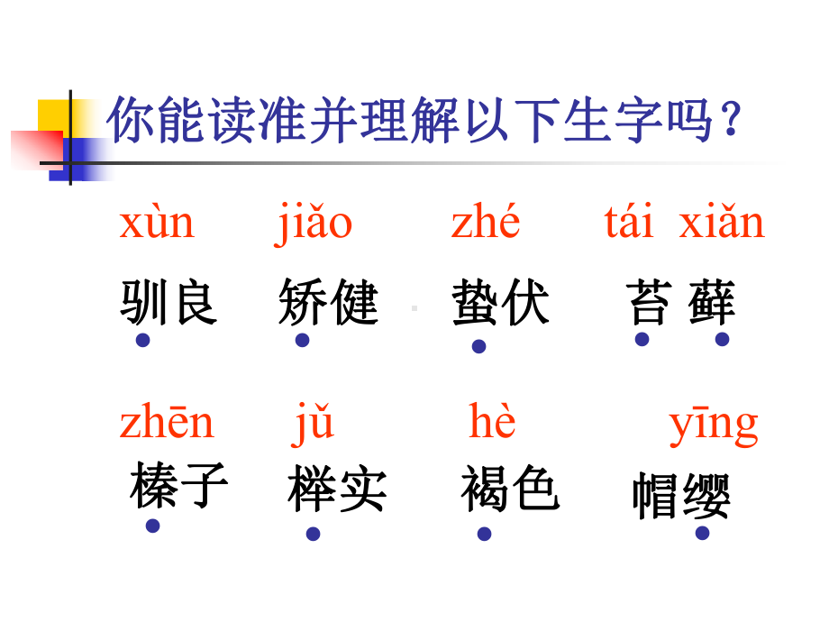 人教版小学语文五年级上册《松鼠》PPT课件.ppt_第3页