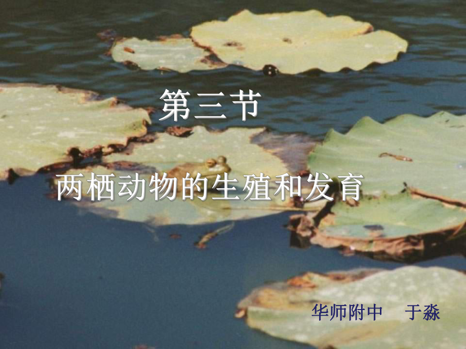 两栖动物的生殖和发育 (2).ppt_第1页