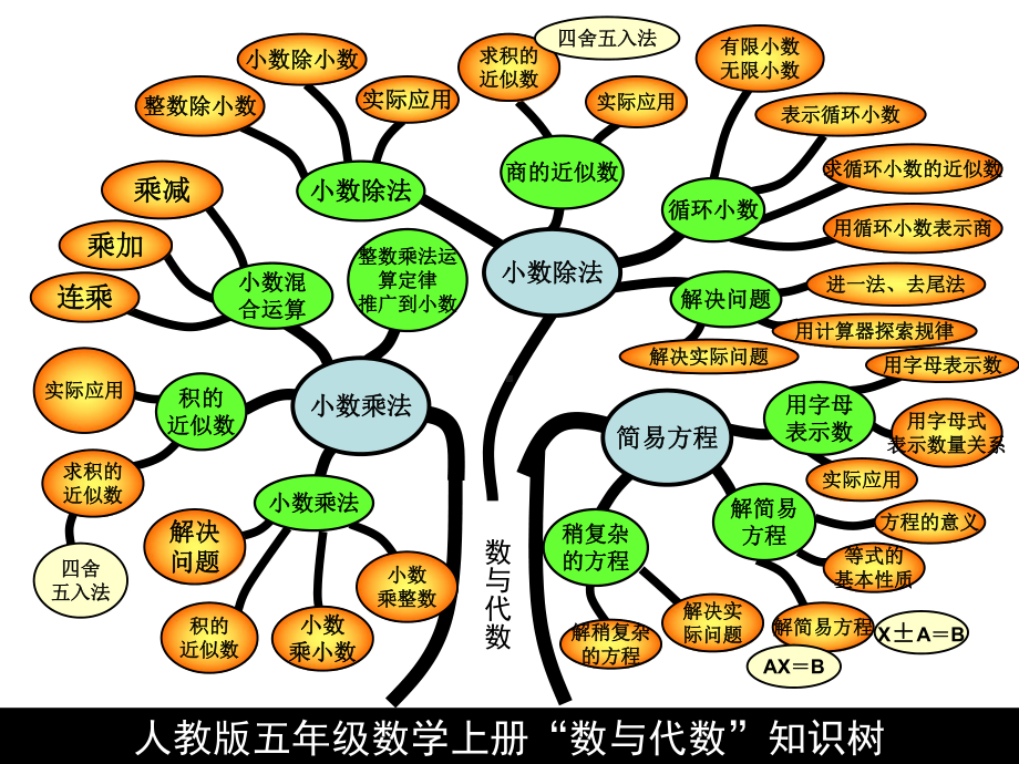 五年级上册知识树(曹）.ppt_第2页