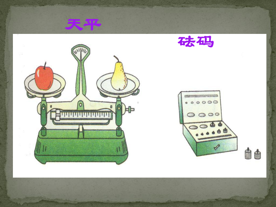 苏教版数学三年级上册《千克和克》PPT课件.ppt_第3页