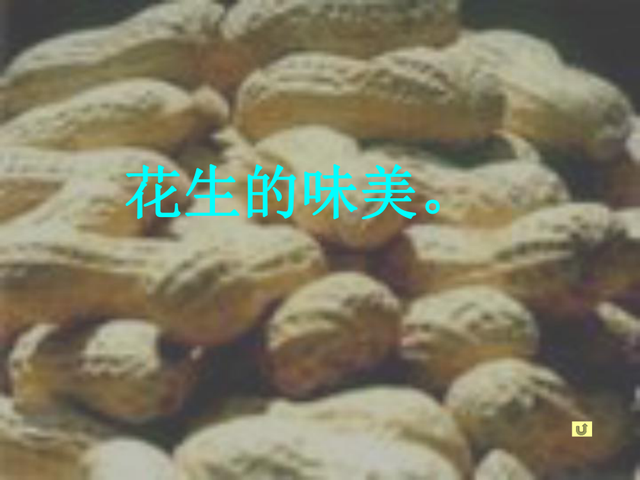 落花生PPT课件.ppt_第3页