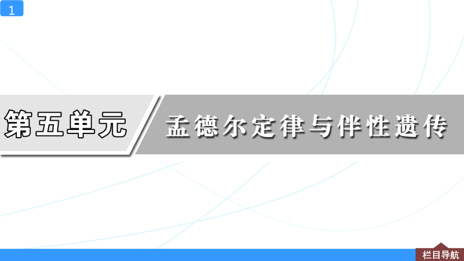 一轮复习课件第15讲-基因自由组合定律.ppt_第1页