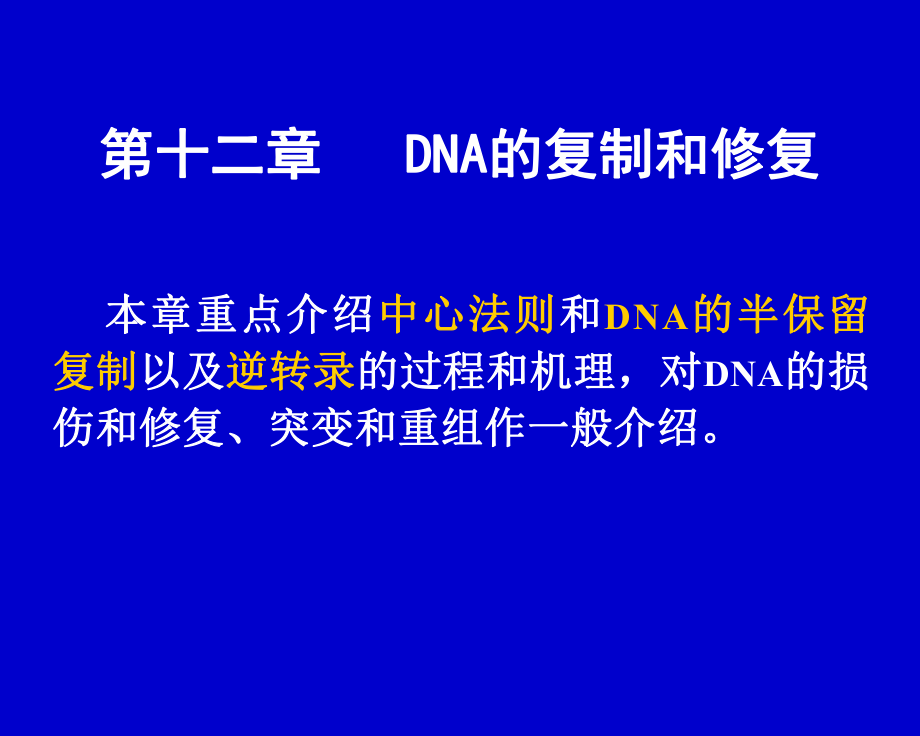 DNA的复制和修复课件.ppt_第1页