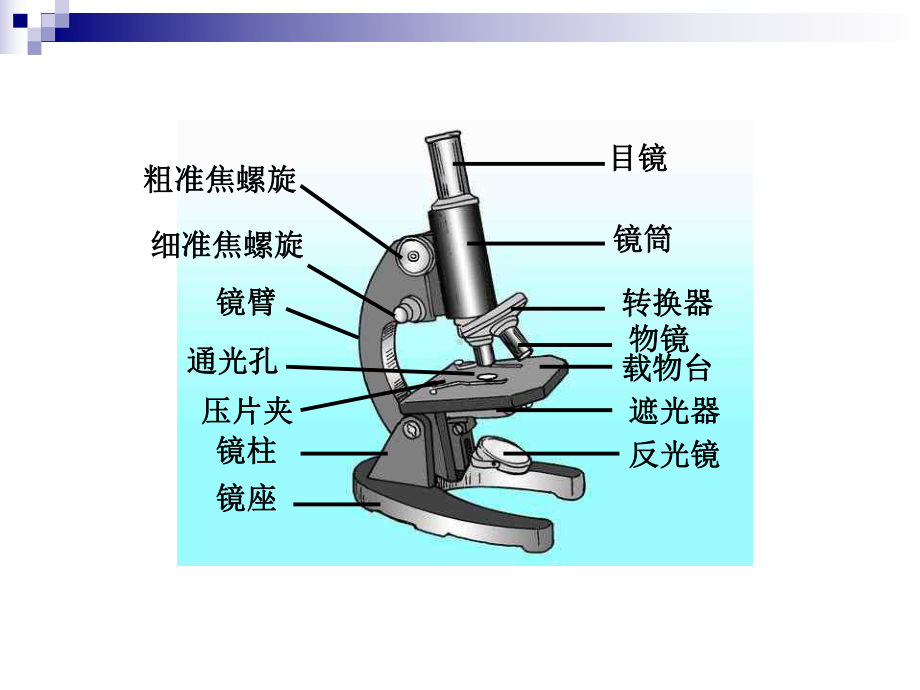 21探索生命的器具(33)课件.pptx_第3页