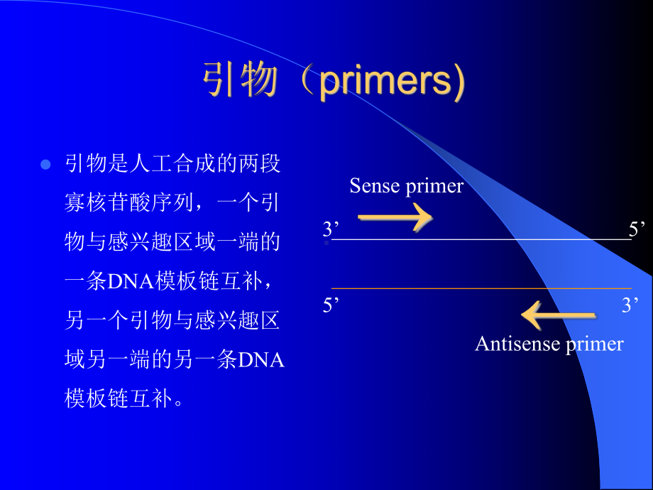 PCR引物设计原则课件.ppt_第2页