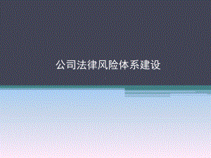 公司法律风险体系建设课件.ppt