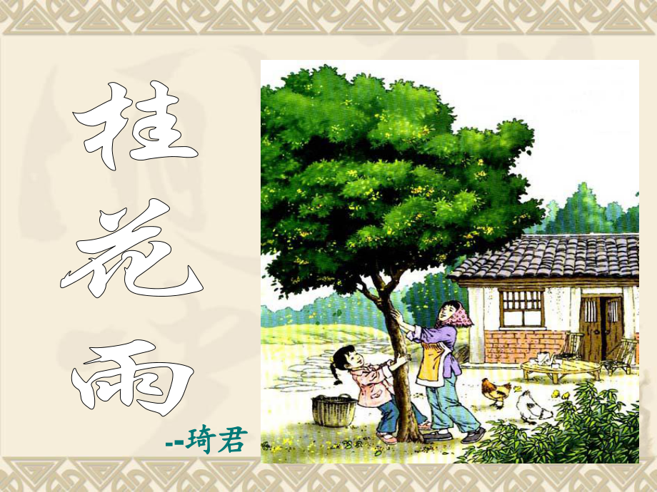 五上语文《桂花雨》课件.ppt_第1页