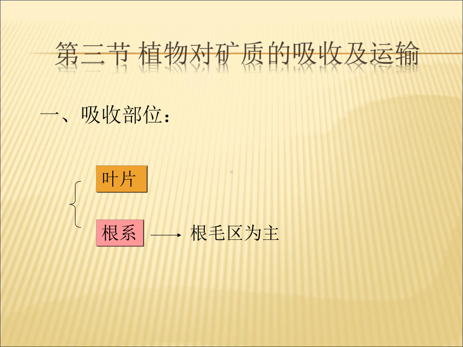 （课件）根系吸收矿质精编版.ppt_第2页