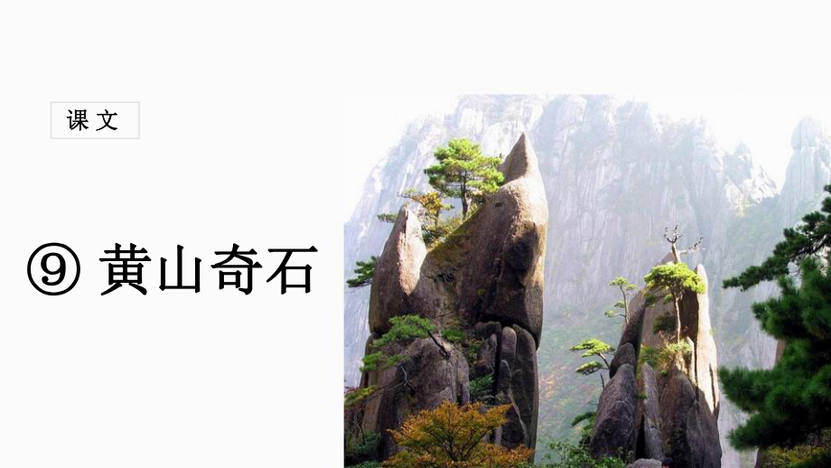 人教部编版二年级上册语文(课堂教学课件1)黄山奇石.ppt_第1页