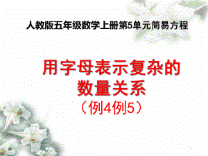 人教版五年级数学上册《-用字母表示复杂的数量关系》(例4例5)课件.pptx