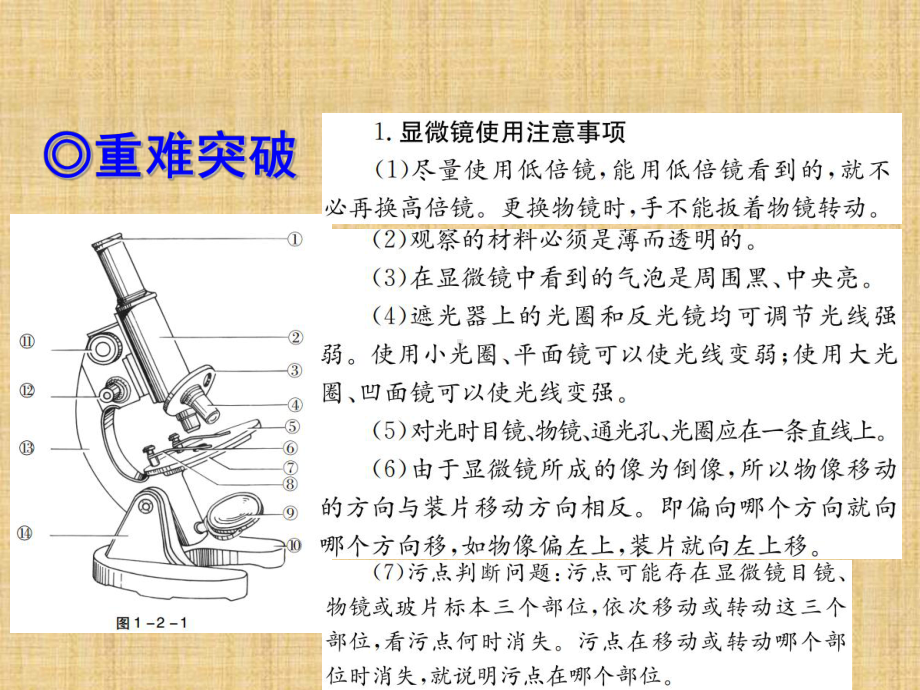 （复习课件）总复习第一轮-第03讲-练习使用显微镜.ppt_第3页