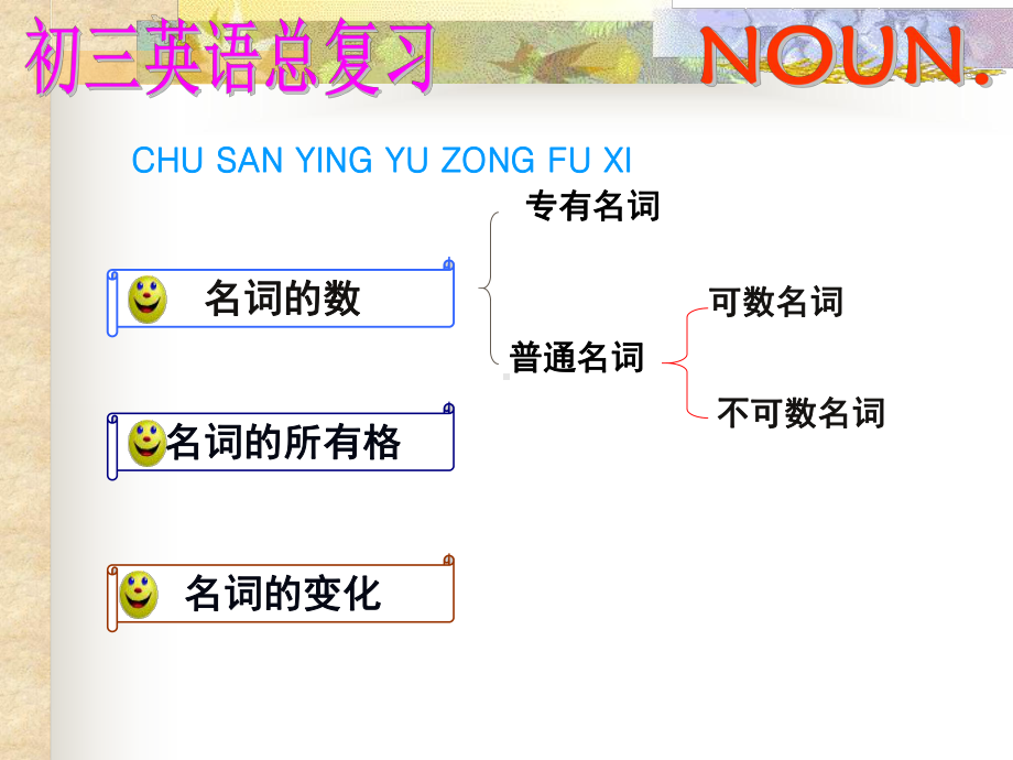 初中语法精讲-名词课件.ppt_第3页
