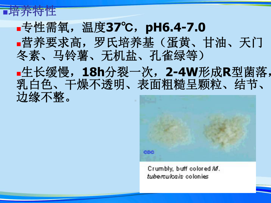 分枝杆菌属完整版资料课件.ppt_第3页