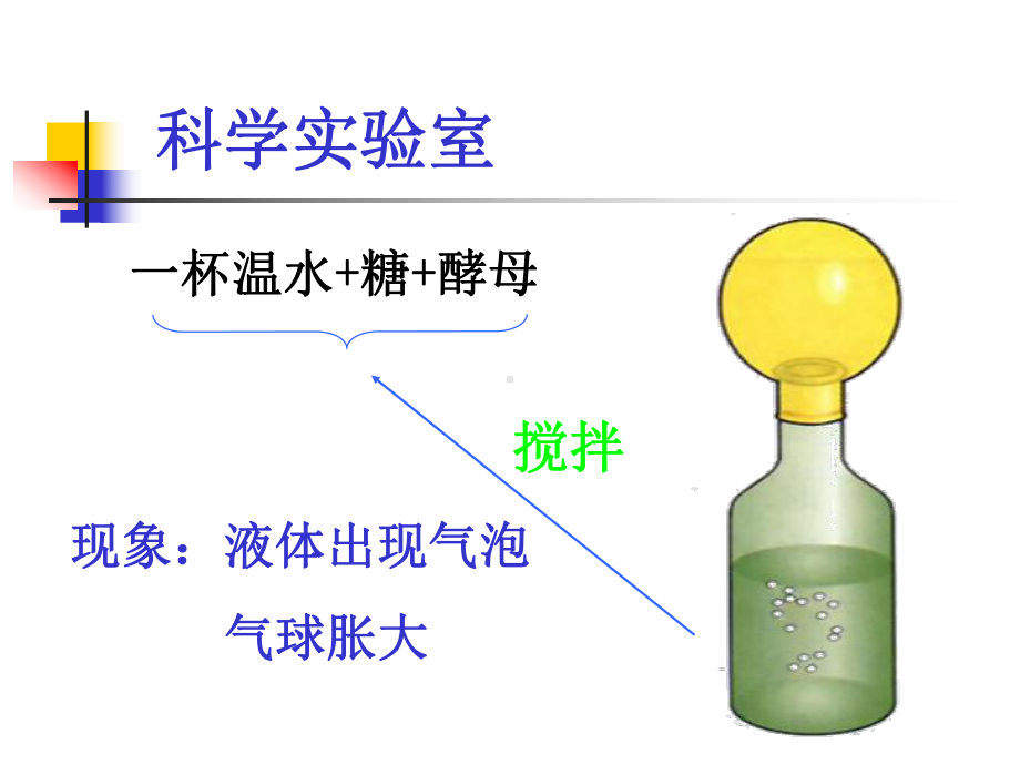 人类对细菌和真菌的利用3课件.ppt_第2页