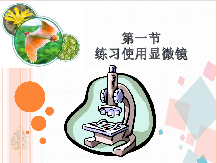 人教版初中生物《练习使用显微镜》--精美课件.ppt_第2页