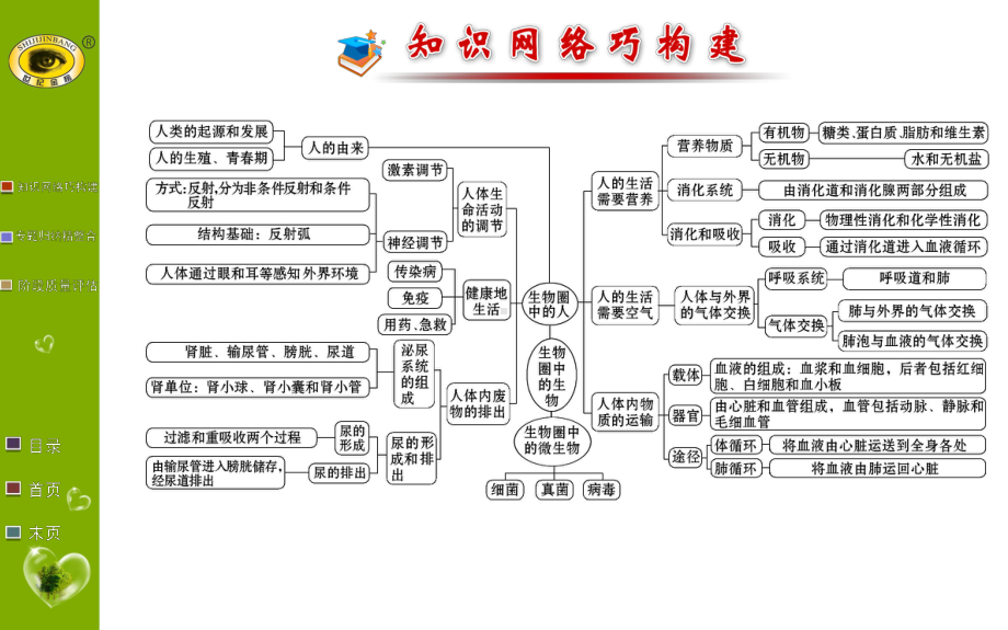 初中生物七年级上册第四单、五、六单元阶段总结考点讲解课件.ppt_第2页